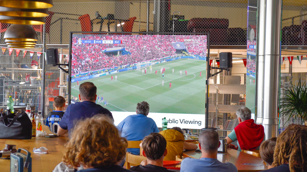 Image of World Cup Public Viewing: Final