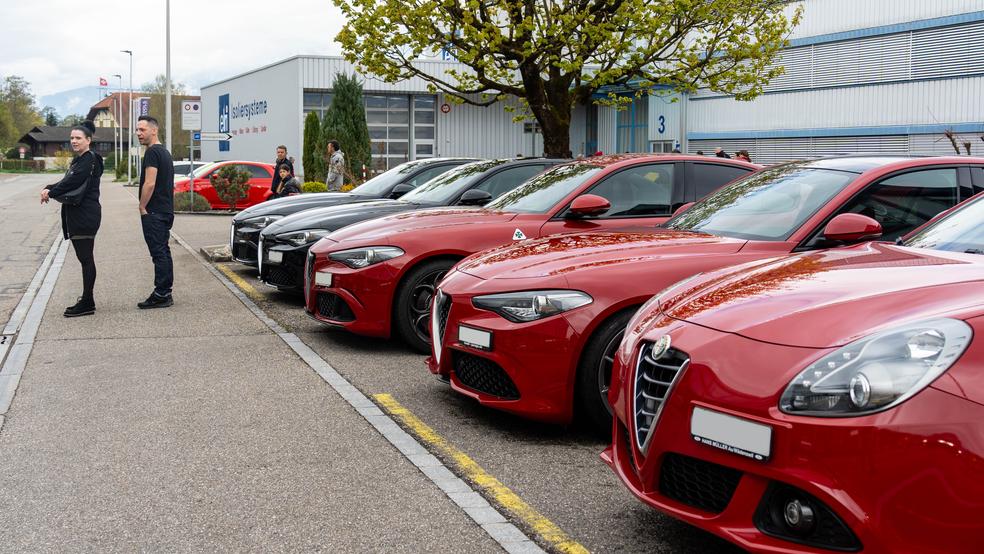 Bild von Alfa Romeo-Treffen